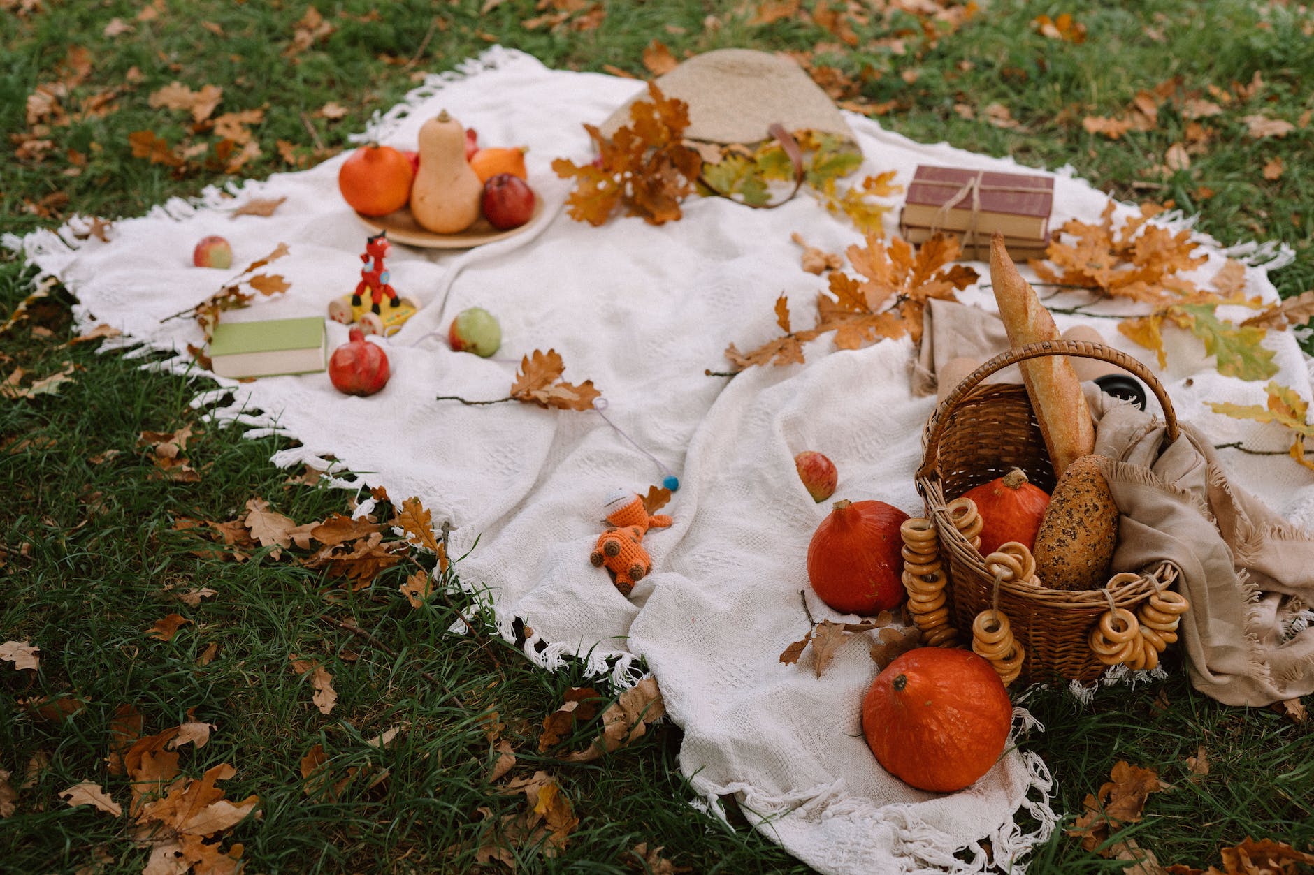 autumn composition with assorted pumpkins and bread in basket placed on plaid on grassy lawn